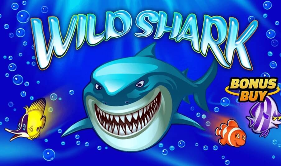 Wild Shark